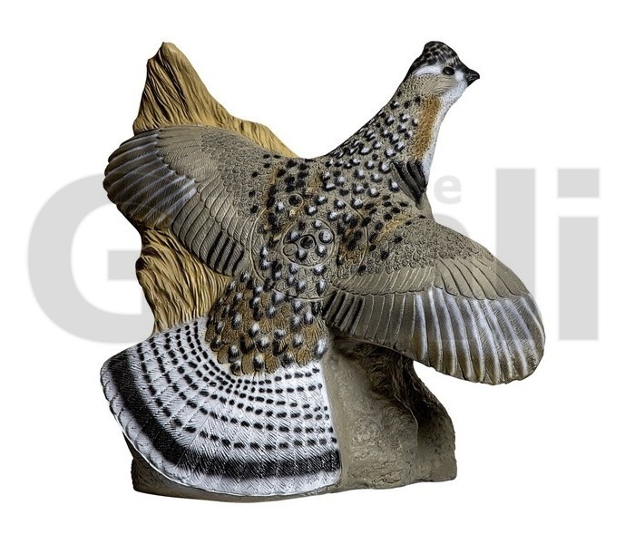 Rinehart Target 3D Grouse